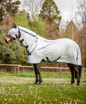 Amigo Mio Fly Rug| Horse Flysheets|Brand: Amigo