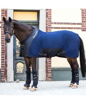 Back on Track Deluxe Mesh Rug with Hood.