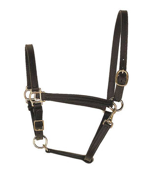 Halter - Leather 3/4