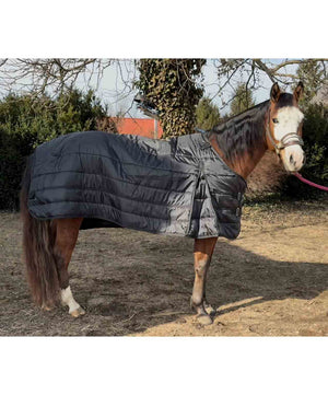 Century Equilayer Equibase Liner 200grams.
