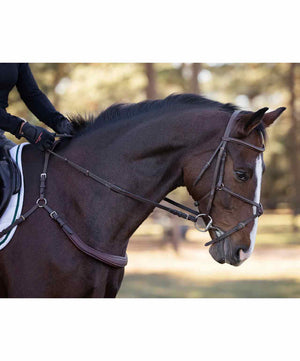 Correct Connect Free Motion Breastplate.