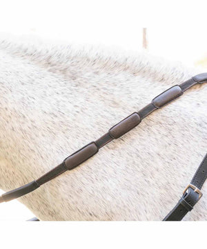Correct Connect Comfort Connect Reins.