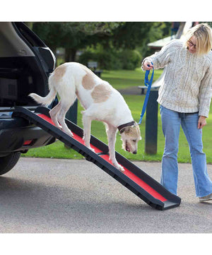 Henry Wag Lightweight Foldable Pet Ramp.