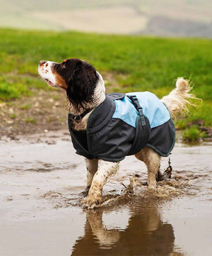 Henry Wag Premium Waterproof Dog Coat.