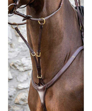 Dy'on D Collection Running Martingale Attachment.