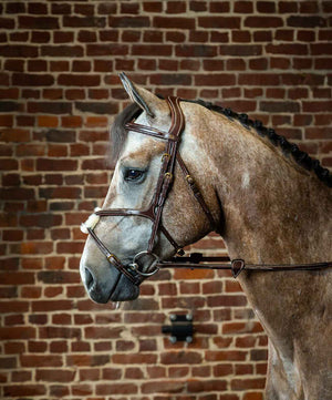 Dy'on D Collection Figure 8 Bridle.