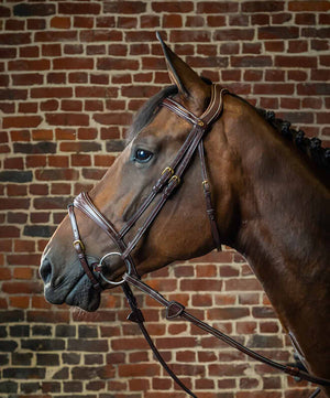 Dy'on Anatomic Flash Noseband Bridle.