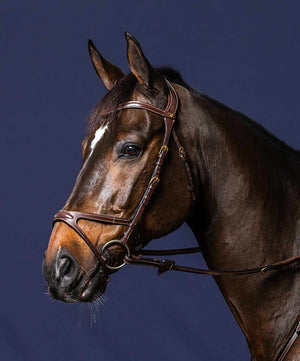 Dy'on D Collection X-Fit bridle.