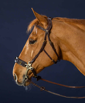 Dy'on D Collection Hackamore Bridle.