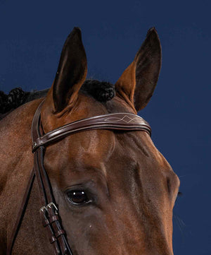 Dy'On US Jumper Anatomic Browband.