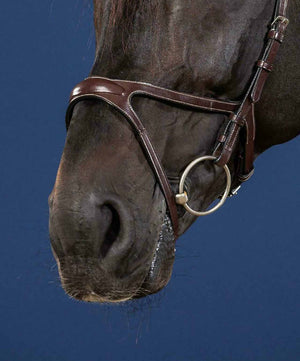 Dy'on Hunter Collection X-Fit pressure reducing noseband.