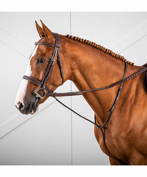 Dy'on Standing Martingale.