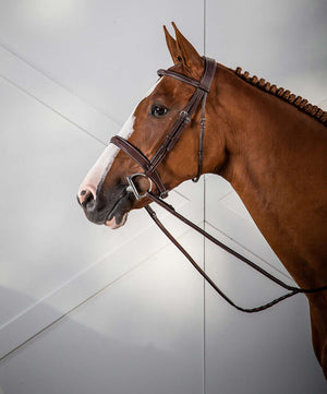 Dy'on Cavesson Noseband Hunter bridle.