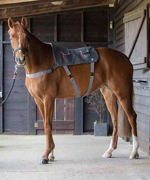 Pony Massage Pad