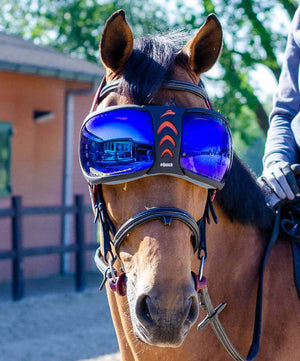 eQuick EVysor Replacement Lens.
