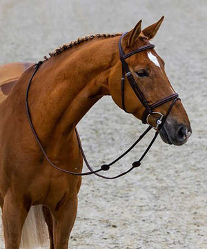 Trust Calgary Combo Noseband Bridle.