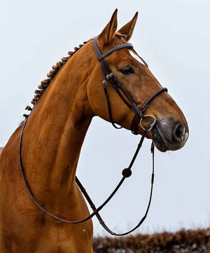 Trust Dublin Rope Noseband Bridle.