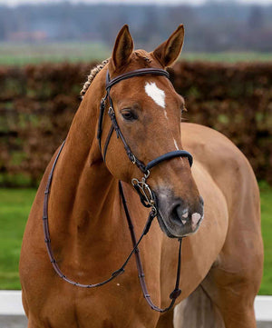 Trust Hickstead Hackamore Bridle.