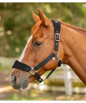 Equinavia Saga Fleece Padded Breakaway Halter, Black.