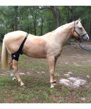 Fenwick Liquid Titanium Stifle Wrap| Horse Bandages & Wraps|Brand: Fenwick Equestrian