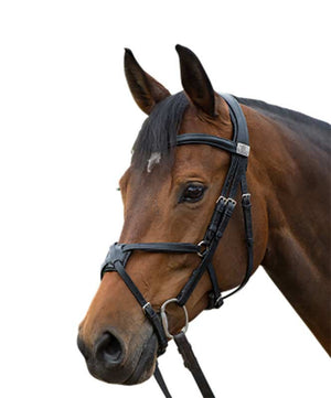 Fairfax Grackle Snaffle Fig 8 Bridle.| Dressage Bridles|Brand: Fairfax Saddlery