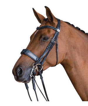 Fairfax Double Cavesson Bridle.| Dressage Bridles|Brand: Fairfax Saddlery