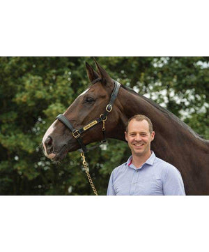 Fairfax Anatomic Headcollar Halter| Halters|Brand: Fairfax Saddlery