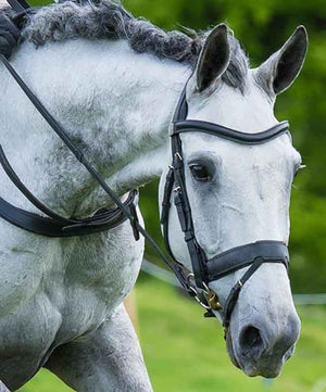 Fairfax Cavesson Snaffle Bridle with Flash| Dressage Bridles|Brand: Fairfax Saddlery