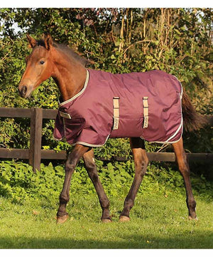 Amigo Foal Rug Turnout, Fig/Navy/Tan.