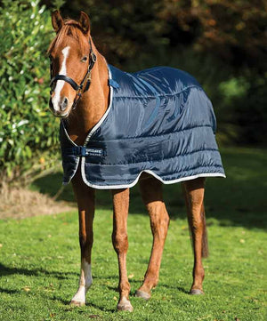 Rambo / Amigo Pony Blanket Liner with 100g of fill.