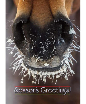 Boxed Christmas Cards - 8 cards & envelopes| Horse Writing & Crafts|Brand: House
