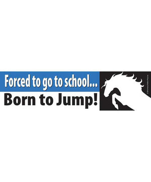 Bumper Stickers| Horse Writing & Crafts|Brand: House