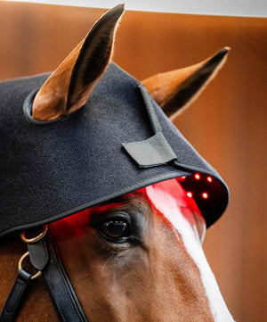 Horseware LED Red Light Therapy Poll Cap.