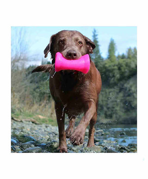 Ruff Dawg - Dawg Crinkit - Assorted Colours.