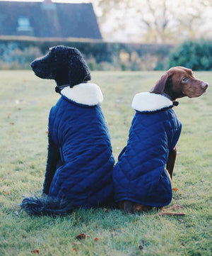 Kentucky Horsewear Original Dog Coat, Navy.
