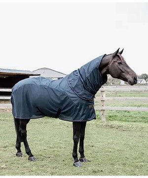 Kentucky Horsewear Fly Sheet Combo Rain Sheet.