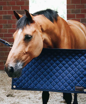 Kentucky Stable Guard.