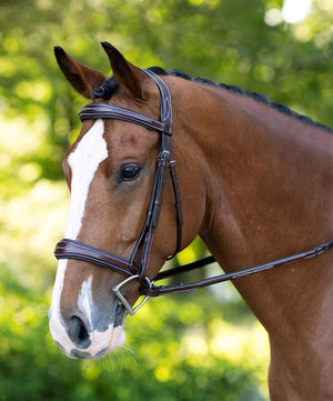KL Italia Hampton Cavesson Bridle.