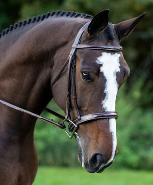 KL Select Tuscany Bridle.