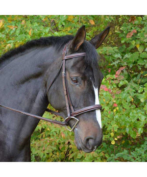 Black Oak Cyprus Bridle, Brown.