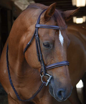 Black Oak Poppy Bridle - Raised with Fancy Stitching| Hunter Bridles|Brand: Black Oak