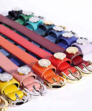 Vogel Rainbow Bracelet.