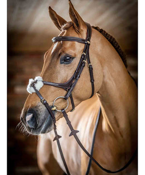 LeMieux Kudos Grackle Bridle.