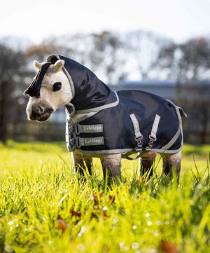 LeMieux Plush Toy Pony Storm Tek Rug, detachable neck.