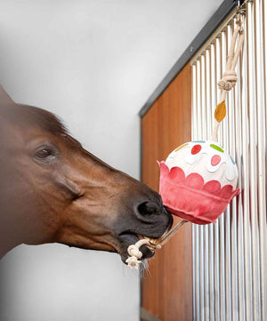 LeMieux Horse Stall Toy, Cupcake.