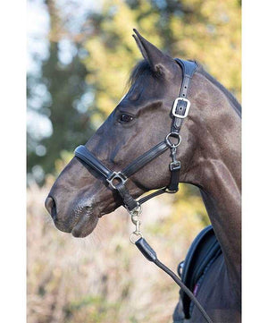 LeMieux Anatomic Leather Halter| Halters|Brand: LeMieux Equestrian