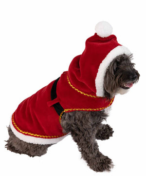 Lazy One Dog Santa Costume.