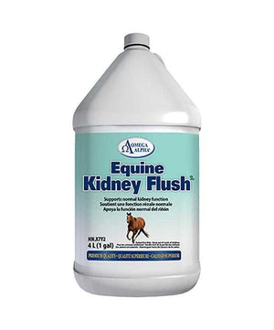 Omega Alpha Kidney Flush 4L| Metabolism & Hormone|Brand: