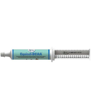 Omega Alpha Equisel-BCAA Tube| Vitamin & Minerals|Brand: Omega Alpha