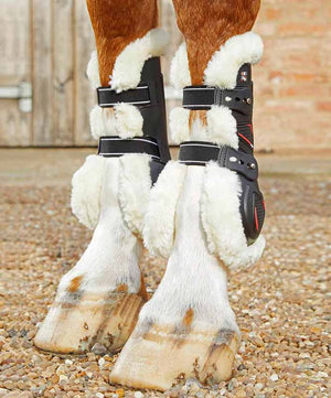 Premier Equine Techno Wool Tendon Boots.